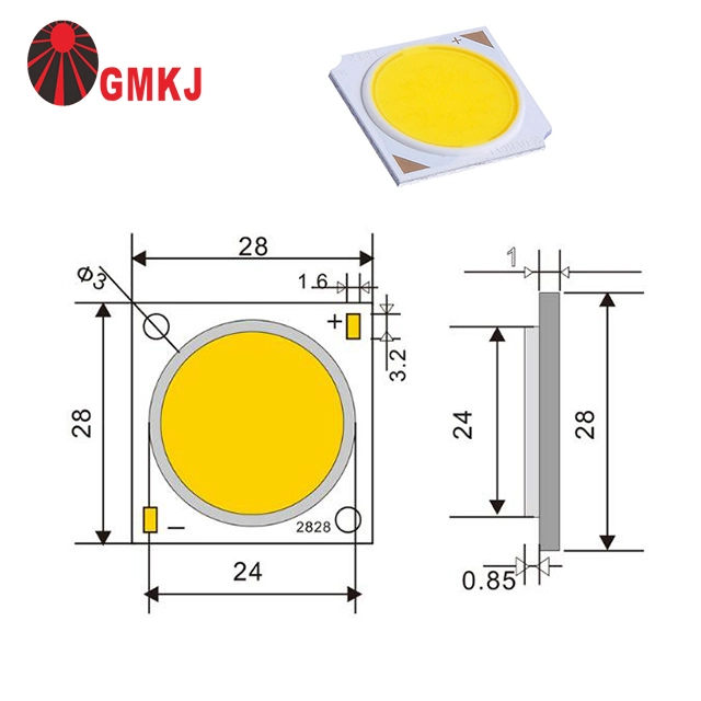 Citizen Equivalent 1414 1919 2828 10W 20W 30W 40W 50W 60W COB LED Chip